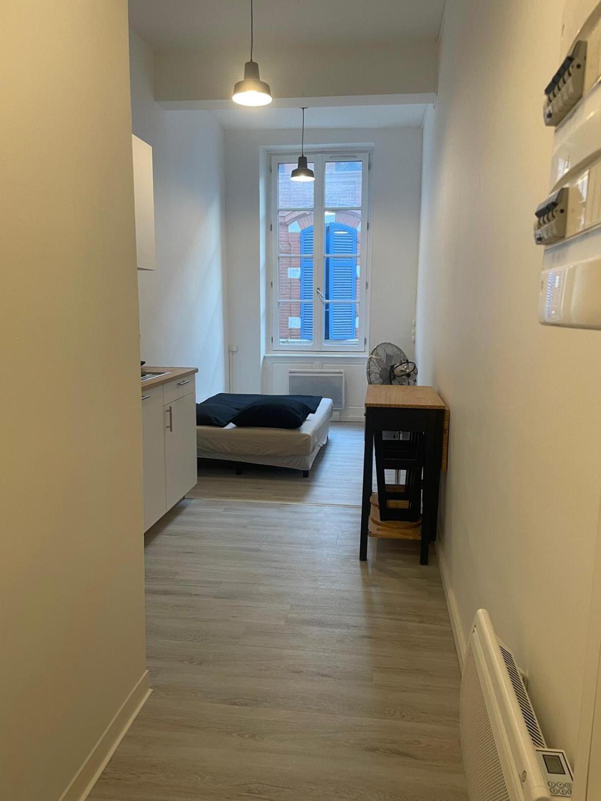 Saint Etienne Studio Lot 6 Apartment Toulouse Luaran gambar